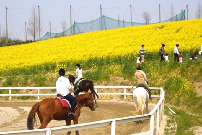 乗馬レッスン1回コース