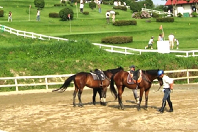 乗馬レッスン3回コース