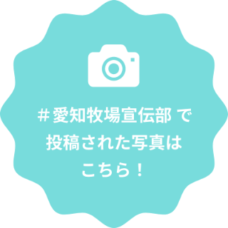 # 愛知牧場宣伝部 で投稿された写真はこちら