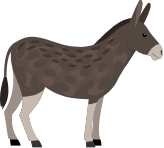 donkey